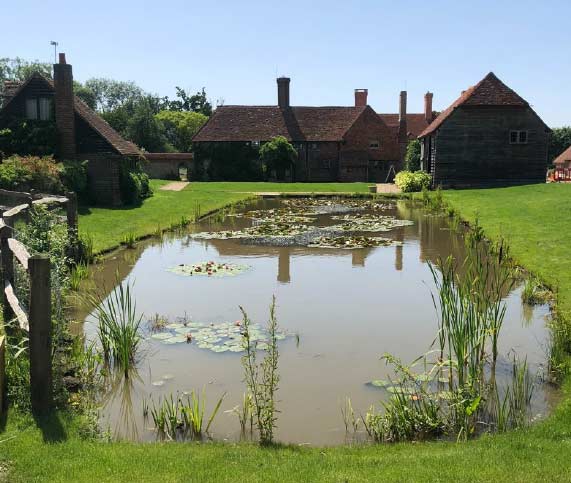 Pond and Landscaping Specialists in Tatsfield