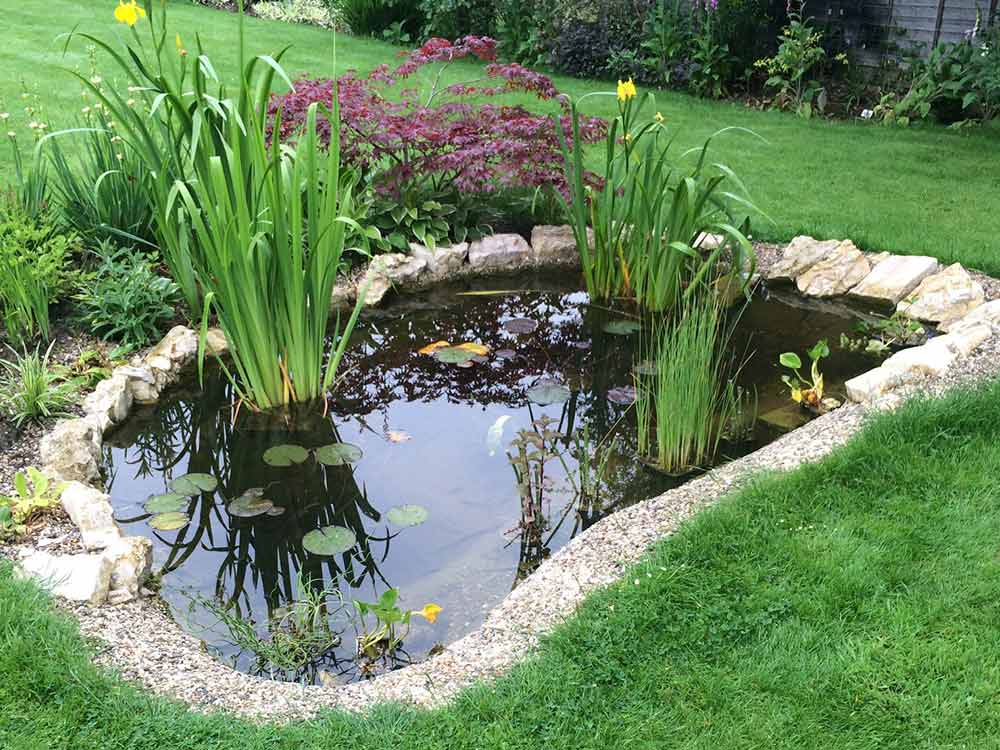 Pond Installers in Tatsfield